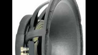 Peavey BWX