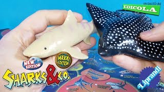DEAGOSTINI - SHARKS & CO NEW MAXXI EDITION - UN SALTO IN EDICOLA RECENSIONE