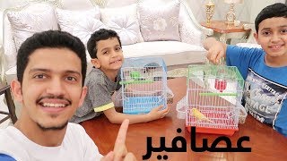 شرينا كناري || We Bought Canari