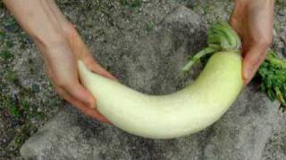 たくあんの漬け方（作り方） - 03