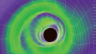 Nenad Filipovic's Coronary Calculus