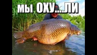 рыбалка которая взорвала интернет. ловит рыбу руками. способ ловить рыбу,