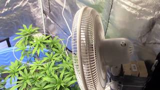 DIY turn a  regular cheap oscillating fan into a wall mounted fan for my 4x4 grow tent
