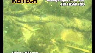 keitech fatswing28 jig