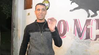 اتعرف علي الكلاب ومشاكلها مع مدرب كلاب البحيرة كابتن ابونور