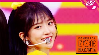 [최초공개] 아이즈원(IZ*ONE) - SO CURIOUS | COMEBACK IZ*ONE BLOOM*IZ