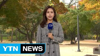 [날씨] 주말 곳곳 미세먼지↑...단풍 가득 덕수궁 / YTN