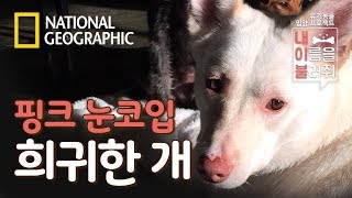 하얀 털의 천사, 루뽀를 소개합니다~♥ [내 이름을 불러줘]