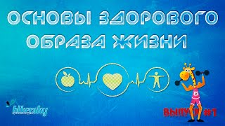 Основы здорового образа жизни