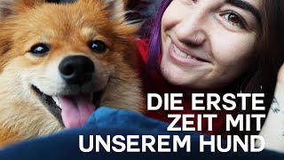 Das hier ist unser Hund, my dudes.