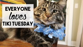 EVERYONE LOVES TIKI TUESDAY | January 22, 2019