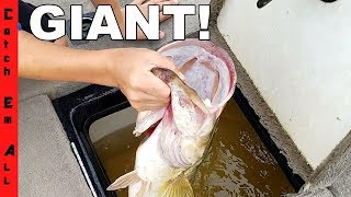 MEGA MOUTH FISH *MegalaMu* INTO THE POND!