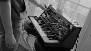 KORG MS-20 ESP DEMO