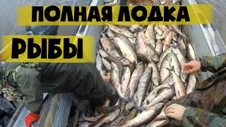 Рыбалка сплавной сетью, Лов Кеты на Амуре 2018 #втренде #Fisherman27RUS