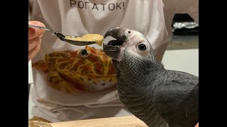 Жако Чу ест с ложки и бесчинствует