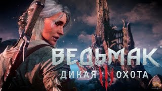 Ведьмак 3: Дикая Охота прохождение на ультра настройках 1080р 60 часть 11 СТРИМ