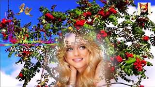 Прекрасная песня!!! Куст рябины!!! Ион Суручану
