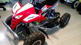 RAPTOR электро квадроцикл