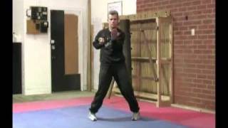 Wing Chun Malaysia, Sifu David Peterson Siu Nim Tau seminar