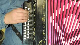 РАЗБОРЫ !!!Жуки Батарейка на гармони! Как играть и петь!!!