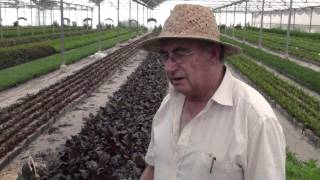 Plantas que curan, plantas prohibidas (con Josep Pàmies)