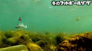 冬のフットボールジグでブリブリのデカバス!!!! 噂の【トントンフワアクション】凄すぎ!!!