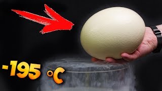 ЧТО ЕСЛИ ЯЙЦО СТРАУСА СВАРИТЬ в ЖИДКОМ АЗОТЕ ?!