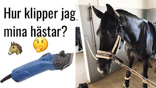 Tips när du KLIPPER HÄSTEN + rider ut | STALLVLOGG