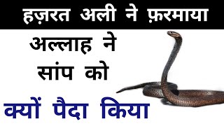 अल्लाह ने सांप को क्यों पैदा किया || Hazrat ali ne farmaya || साँप || Snake || हज़रत अली || imam ali