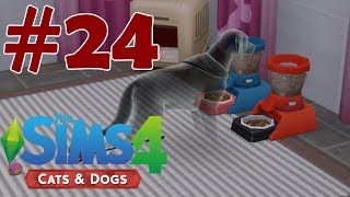 Hayalet Köpekler | The Sims 4 Cats & Dogs #24