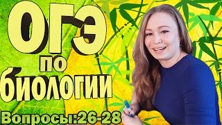 ОГЭ 2016 по биологии (демоверсия). Разбор. Вопросы 26-28.