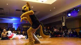07 Alamo City Furry Invasion 2017 Fursuit Dance Competition 4k60   Rhapsodie