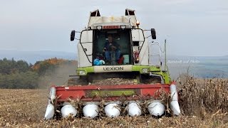 CLAAS Lexion 460 Evolution - Kukurica na zrno/Corn harvest 2015