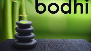 Bodhi Linux 5.0.0 Legacy - versão maisis levesis