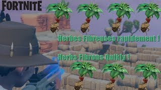 [TUTO] Fortnite PVE - Herbs Fibrous Quikly / Herbes Fibreuses Rapidement