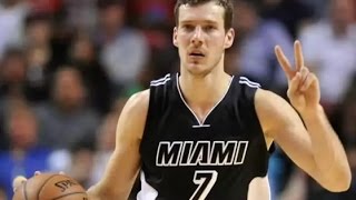 Goran Dragic Top 10 Plays 2014 2015 Season