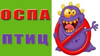 Оспа птиц.  Болезни кур оспа