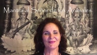 Mantra al Señor de los Animales