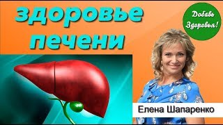 Как восстановить здоровье печени? Методы тибетской медицины