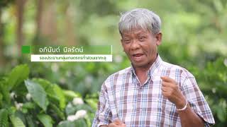 SMAEs ตอน กาแฟเขาทะลุ กาแฟเพื่อชุมชน