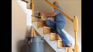 Stair and Rail Renovation_Spring 2012