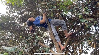 CHUYỆN LẠ CÓ THẬT TẠI LONG AN " HEO LEO CÂY " VÀ CÁI KẾT ... ? | HOTBOY TRÀ SỮA