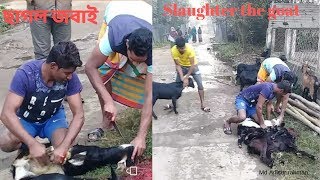How the goat is properly killed in the wedding ceremony/Slaughter the goat