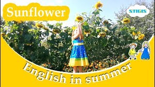 Sunflower/  Подсолнух / Песни на английском/ учить английский по песням / English in summer