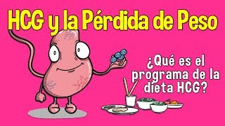La HCG y la Pérdida de Peso: ¿Que es el Programa de la dieta HCG?