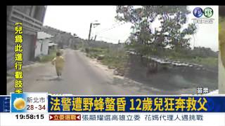 法警遭野蜂螫昏 兒狂奔救父