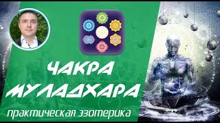 Евгений Грин - Муладхара чакра: Открытие муладхары!