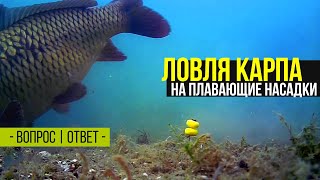 ЛОВЛЯ КАРПА на плавающие насадки POP UP. Вопросы о КАРПФИШИНГЕ