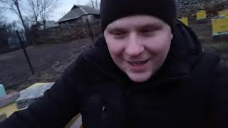 Как начать пчеловодство с нуля
