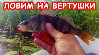 Учимся ловить окуня на вертушки. Окунь на вертушки.